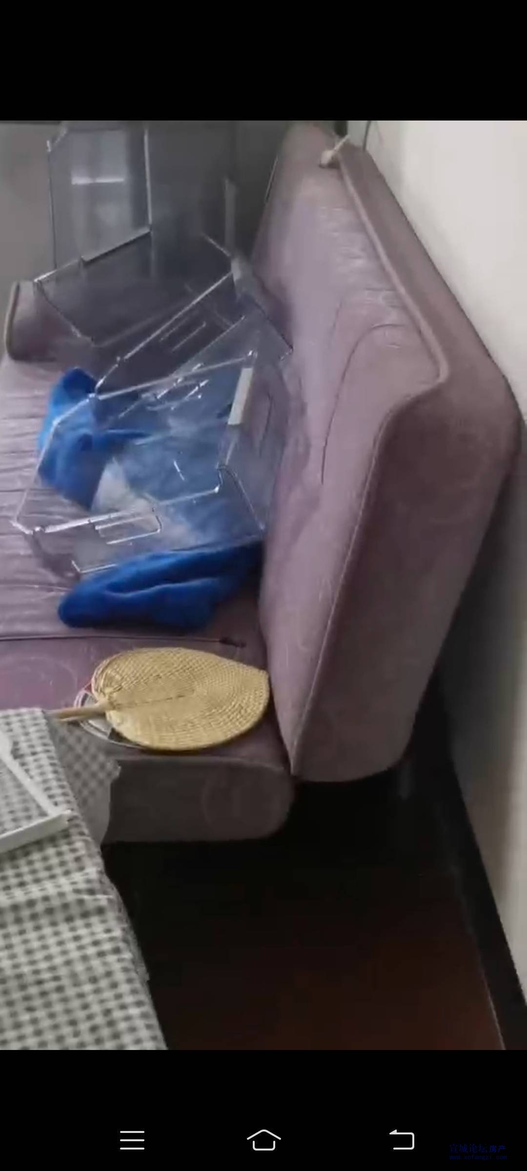 在东门康桥隔壁。乐苑小区